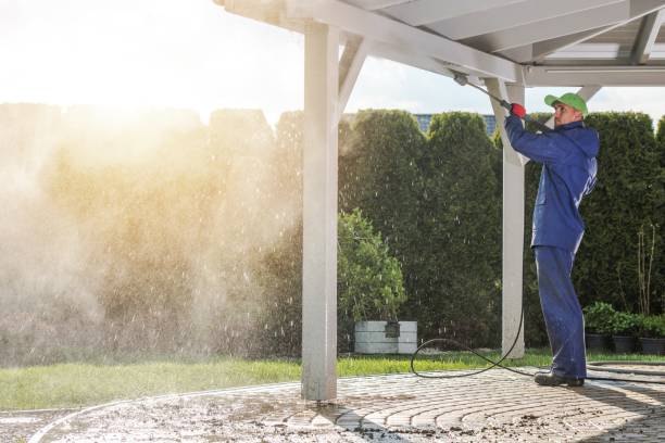 Best Driveway Pressure Washing  in Norris, TN